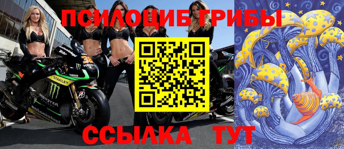 Галлюциногенные грибы мицелий  Псилоцибиновые грибы мухоморы  Махачкала  Вход с VPN 