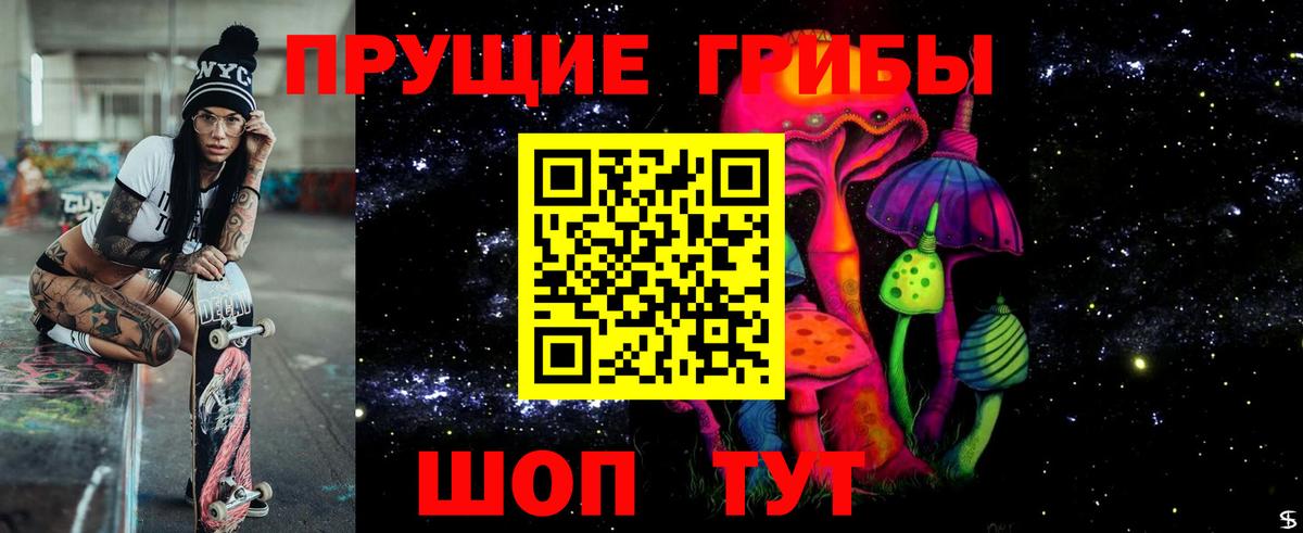 Псилоцибиновые грибы мухоморы Махачкала